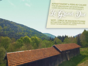 ⁂⁂ LE GRAND DUC Appartement CLEDICIHOME / Magnifique vue sur les montagnes / 4 KMs DE GERARDMER ! ⁂⁂ Rochesson